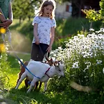 Farm stay Gaestehaus Biobauernhof Mandl *