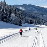 Gaestehaus Biobauernhof Mandl Farm stay