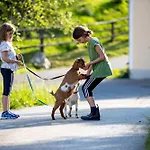 Farm stay Gaestehaus Biobauernhof Mandl *