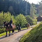 Gaestehaus Biobauernhof Mandl * Murau