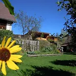 Farm stay Gaestehaus Biobauernhof Mandl Murau