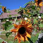 Farm stay Gaestehaus Biobauernhof Mandl