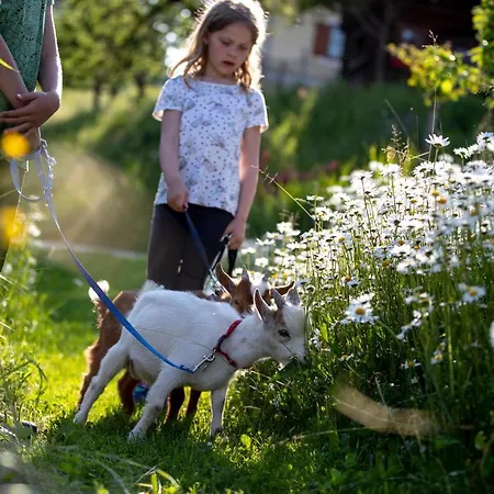 Vakantieboerderij Gaestehaus Biobauernhof Mandl *