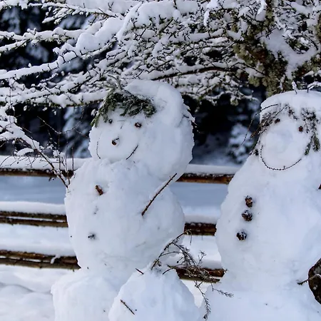 Gaestehaus Biobauernhof Mandl *