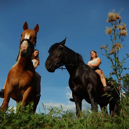 Panorama Apartment Bauernhof Mandl דירה מוראו