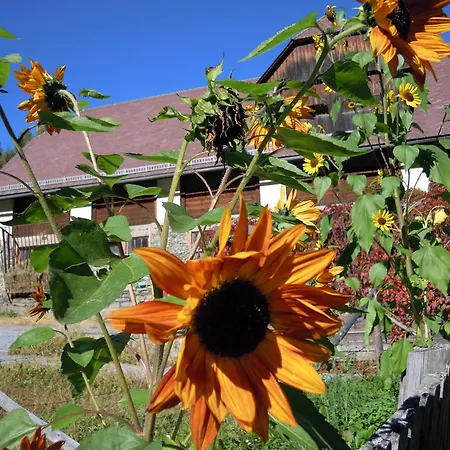 Farm stay Gaestehaus Biobauernhof Mandl