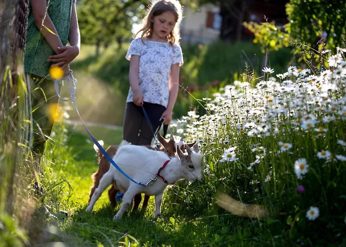 Alloggio per agriturismo Gaestehaus Biobauernhof Mandl *