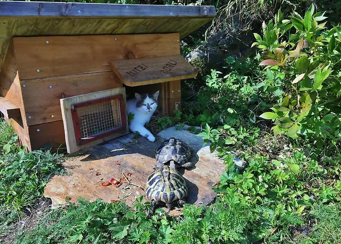 דירה Panorama Apartment Bauernhof Mandl מוראו