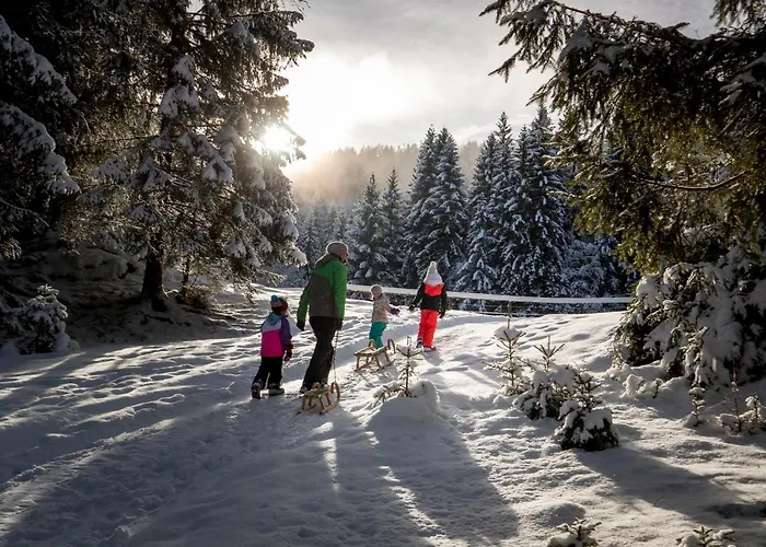 Gaestehaus Biobauernhof Mandl * Murau