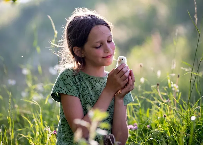 בית חווה Gaestehaus Biobauernhof Mandl