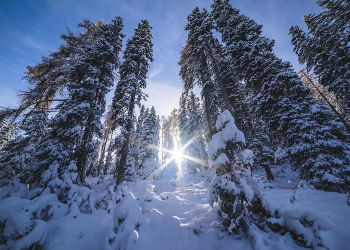 Gaestehaus Biobauernhof Mandl * מוראו