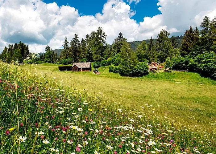 Panorama Apartment Bauernhof Mandl דירה