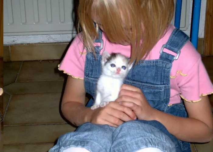 בית חווה Gaestehaus Biobauernhof Mandl