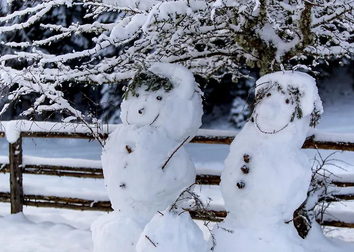 Panorama Apartment Bauernhof Mandl *