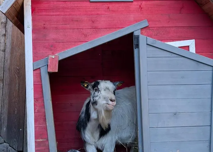 Panorama Apartment Bauernhof Mandl *