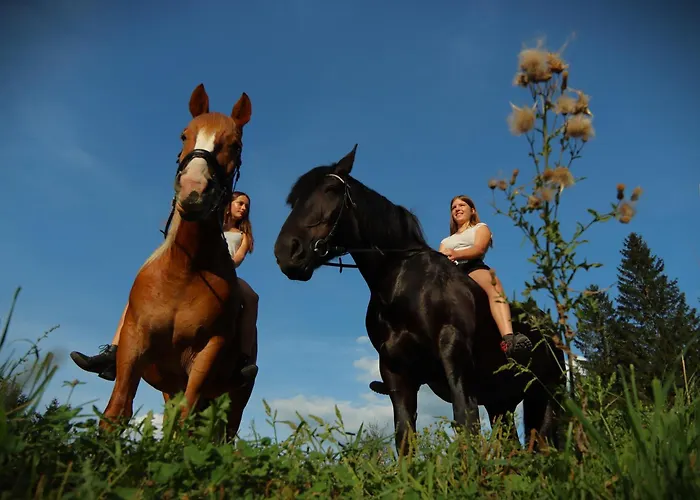 Panorama Apartment Bauernhof Mandl דירה מוראו