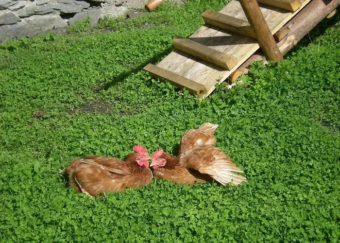 Gaestehaus Biobauernhof Mandl מוראו