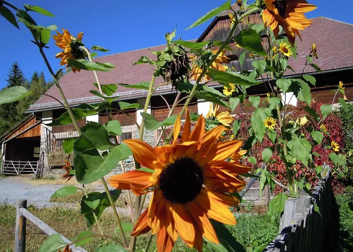 Alloggio per agriturismo Gaestehaus Biobauernhof Mandl